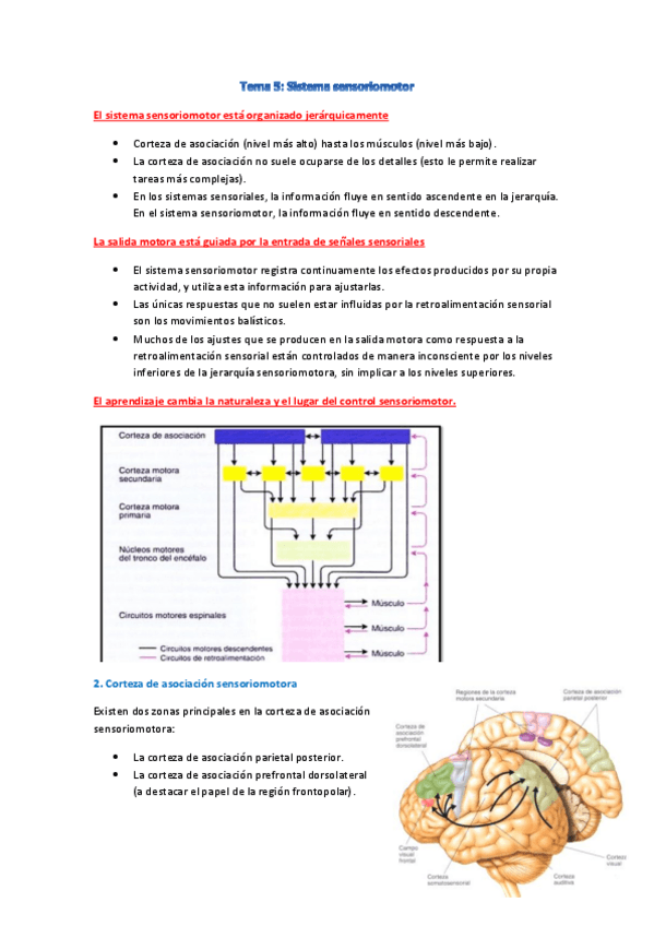 Miniatura del documento Tema-5.pdf