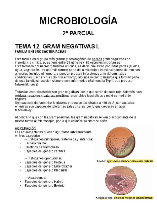 Miniatura del documento MICRO-Magistrales-2-CM.pdf