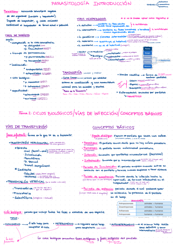 Miniatura del documento TODO-PROTISTAS-T1-T9-Parcial-1-Parasito.pdf