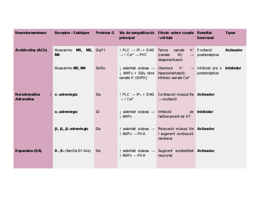 Miniatura del documento TAULA-RESUM-RECEPTORS-METABOTROPICS-TEMA-3.6.pdf