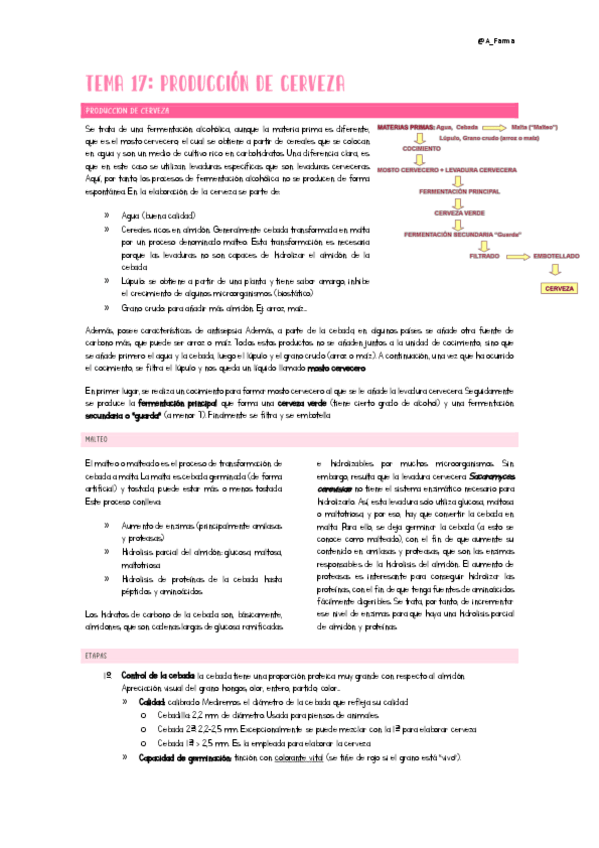 Miniatura del documento Tema17Ampli.pdf