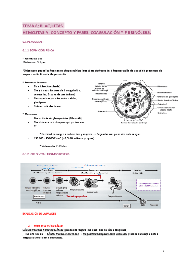 Miniatura del documento TEMA-6-PLAQUETAS.pdf