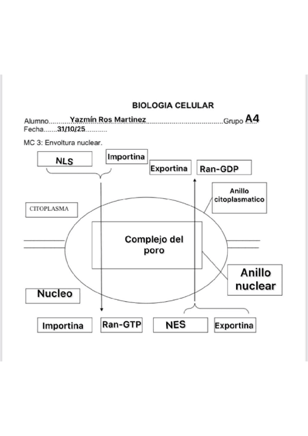 Miniatura del documento RosMartinez-Y-MC2y3.pdf
