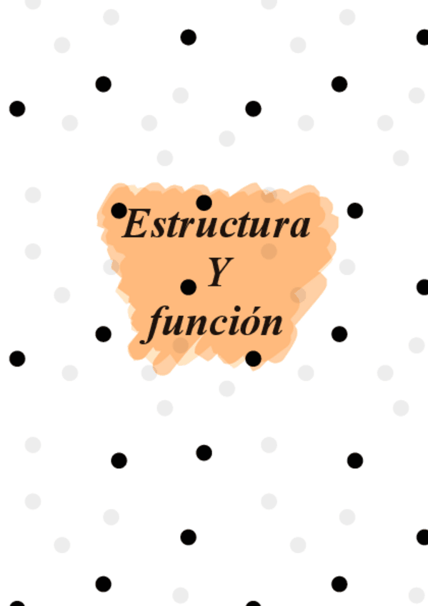 Miniatura del documento Estructura-Y-Funcion.pdf
