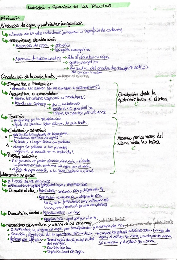 Miniatura del documento nutricion-y-relacion-de-las-plantas.pdf