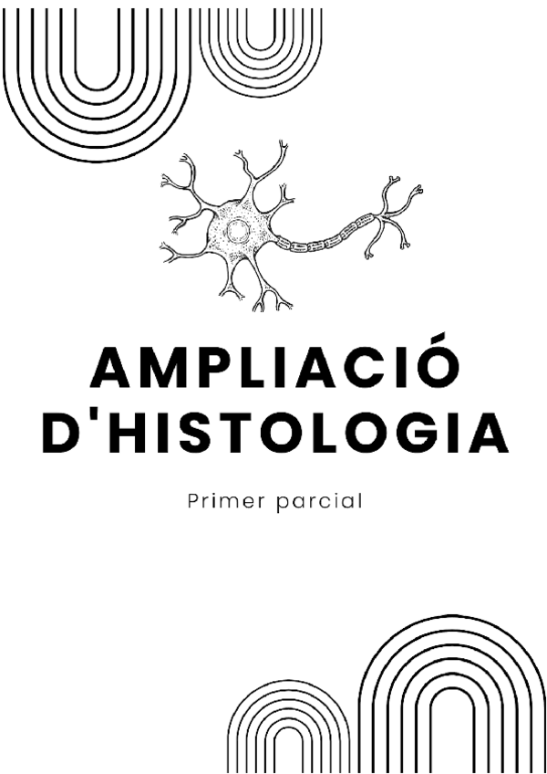 Miniatura del documento Ampli-d-histo-1r-parcial.pdf