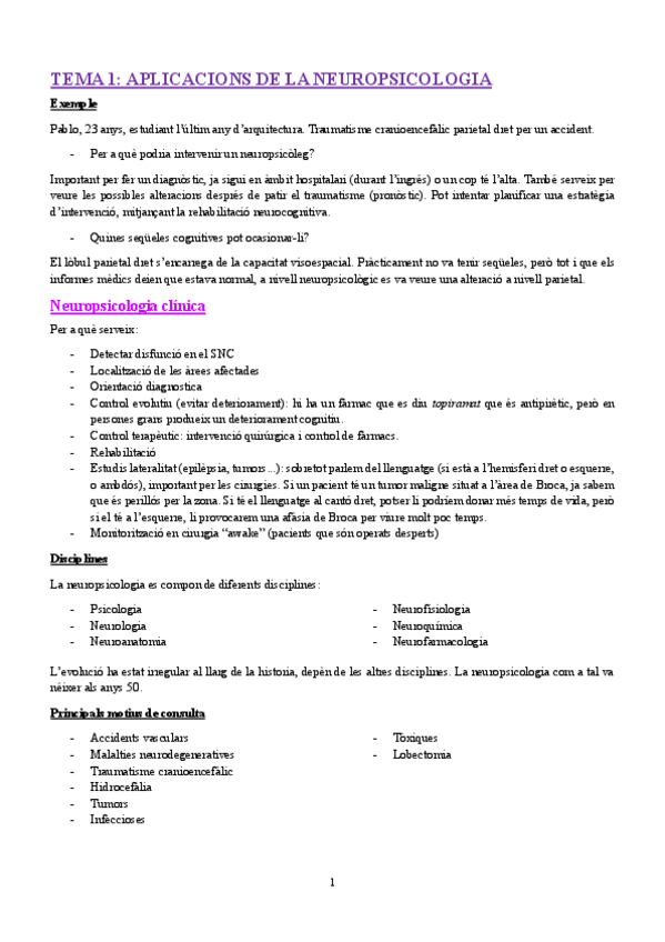 Miniatura del documento APUNTS.pdf