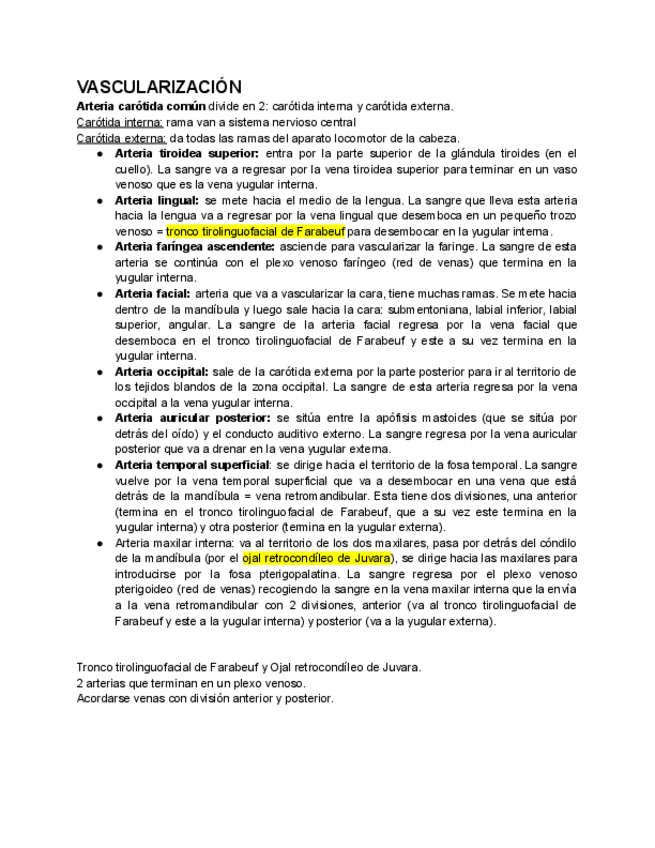 Miniatura del documento VASOS-CRANEALES.pdf