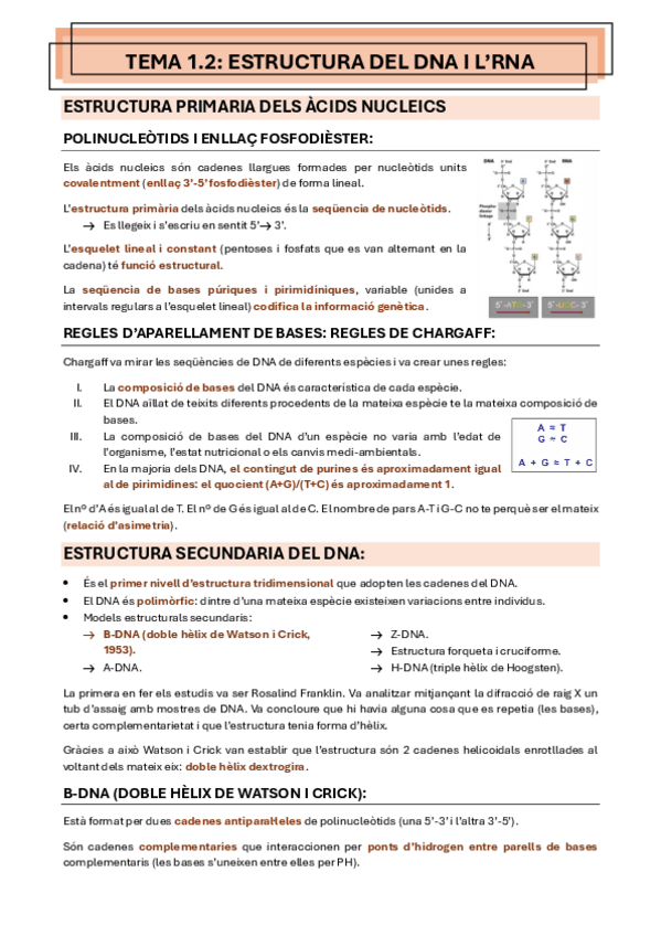 Miniatura del documento Tema-1.2-Estructura-del-DNA-i-RNA.pdf