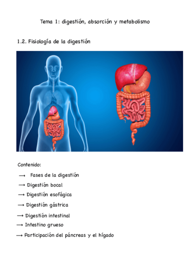 Miniatura del documento 1.2.-digestion-absorcion-y-metabolismo-fisiologia-de-la-digestion.pdf