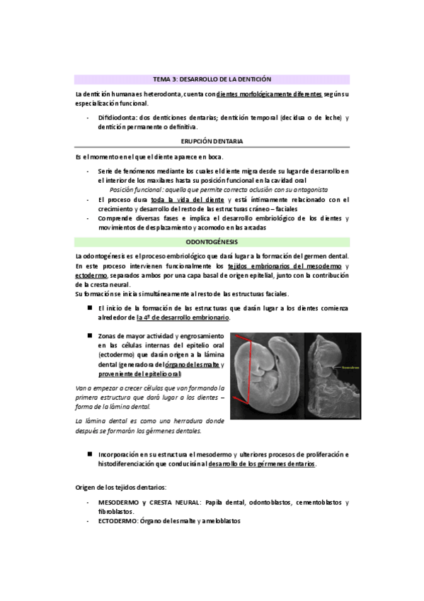 Miniatura del documento TEMA-7-ODP.pdf