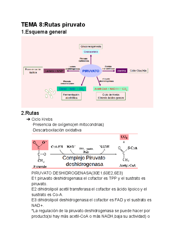 Miniatura del documento Bioquimica-II-tema-8.pdf
