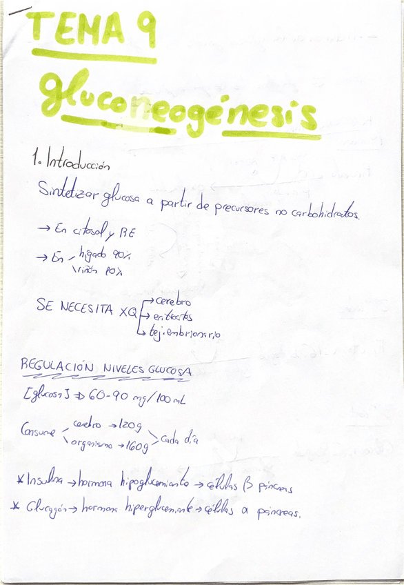 Miniatura del documento Tema-9-bioquimica-II.pdf