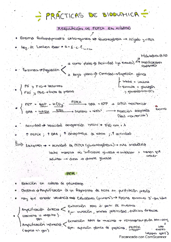 Miniatura del documento Resumen-practicas-Bioquimica-II.pdf