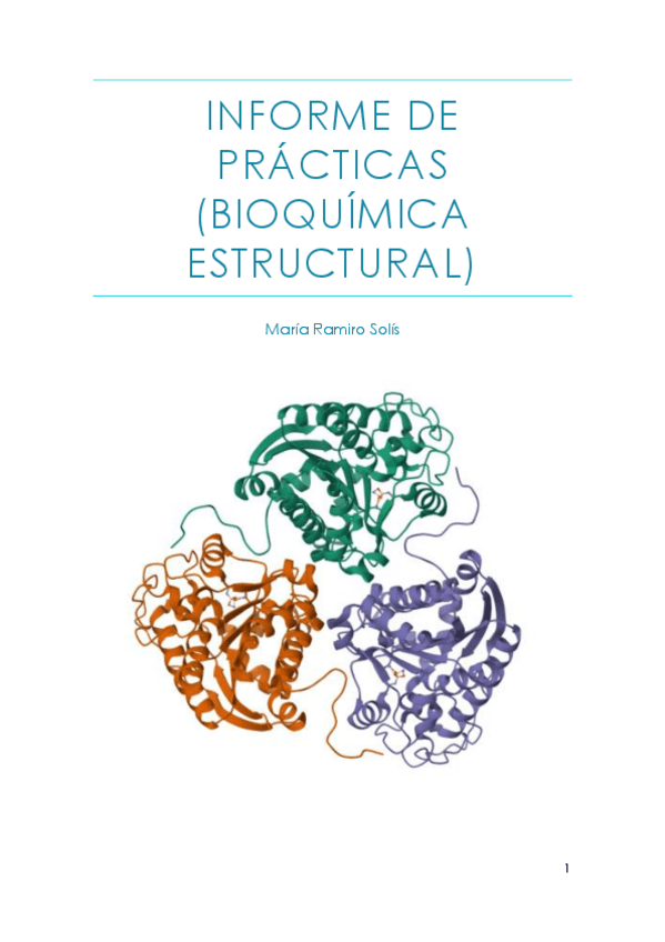 Miniatura del documento Informe-practicas-estructural.pdf