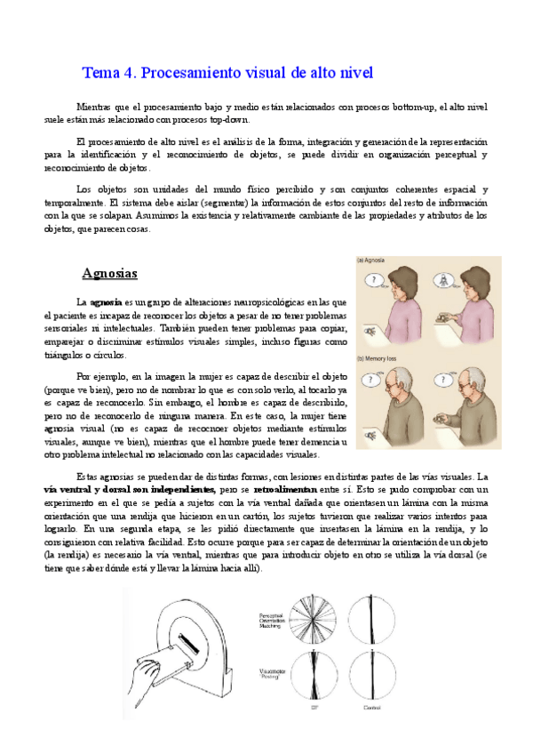 Miniatura del documento Tema-4.-Procesamiento-de-alto-nivel.pdf