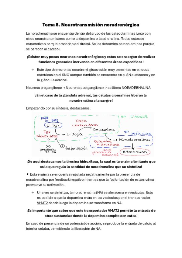 Miniatura del documento Tema-8.-Neurotransmision-noradrenergica.pdf