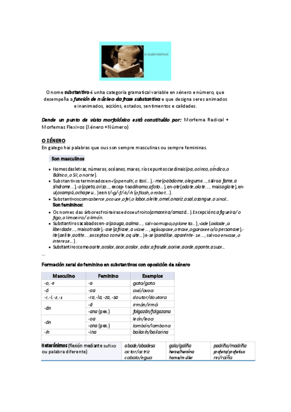 Miniatura del documento O-substantivo..pdf