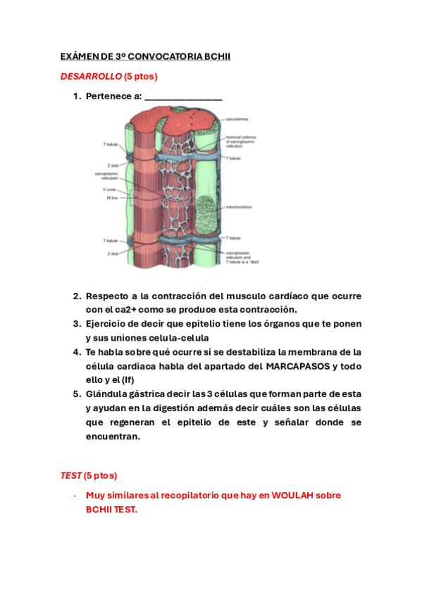 Miniatura del documento EXAMEN-DE-3o-CONVOCATORIA-BCHII.pdf
