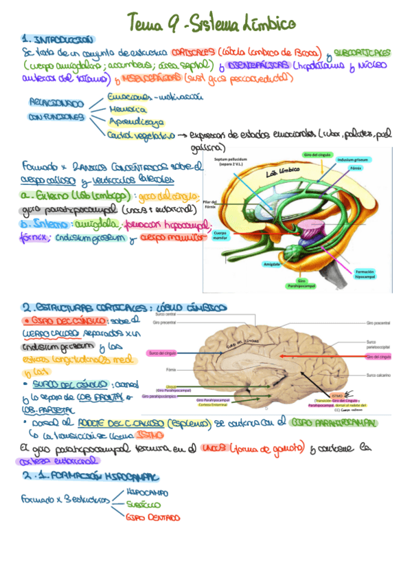 Miniatura del documento TEMA-9-SISTEMA-LIMBICO.pdf