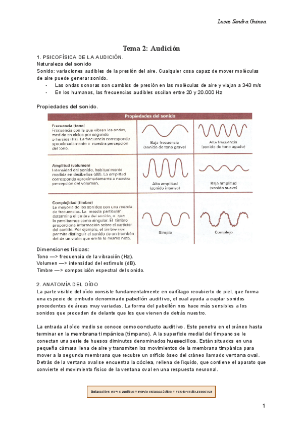 Miniatura del documento Tema-audicion.pdf