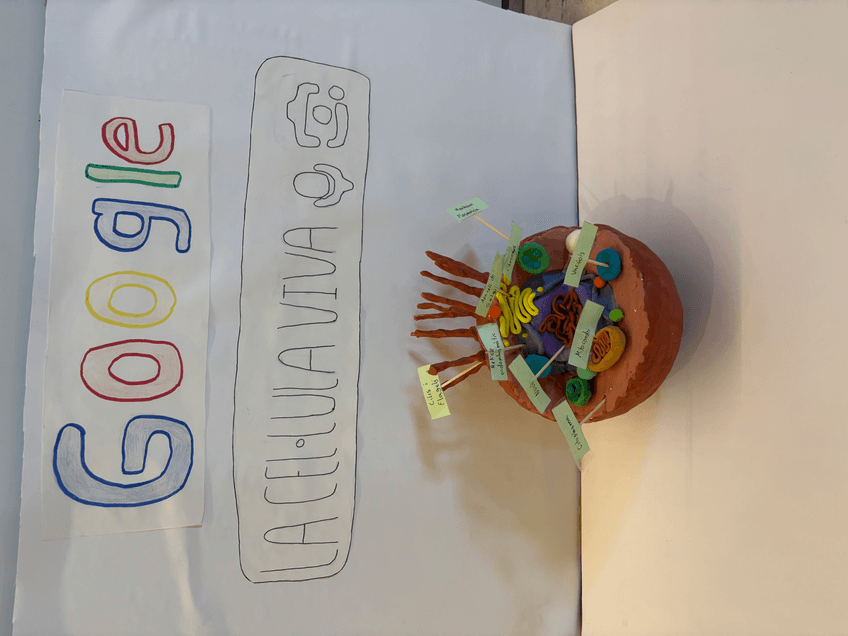 Miniatura del documento IMG0405.jpeg