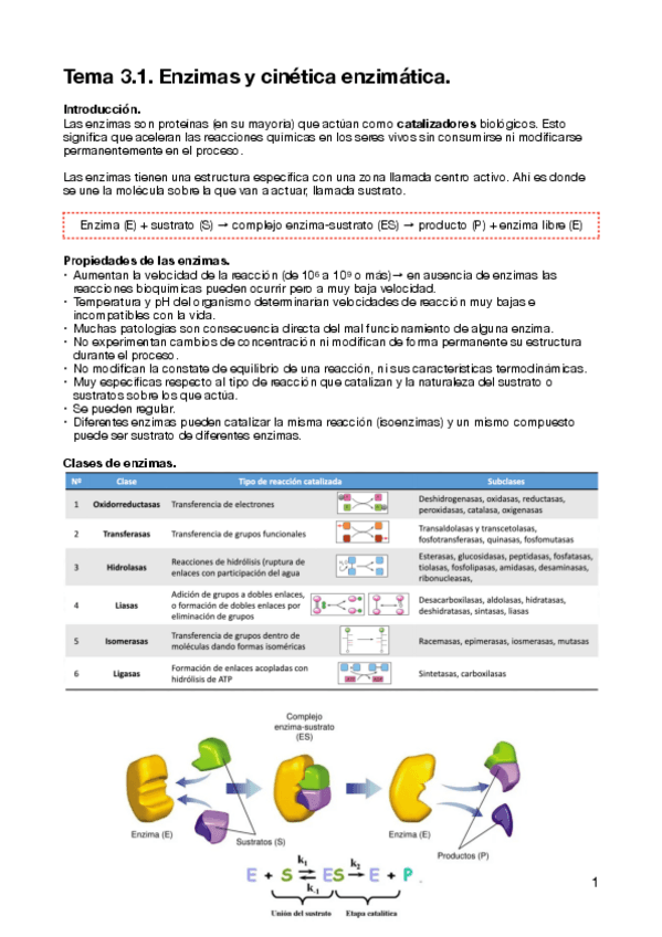 Miniatura del documento T3.1-Bioquimica.pdf