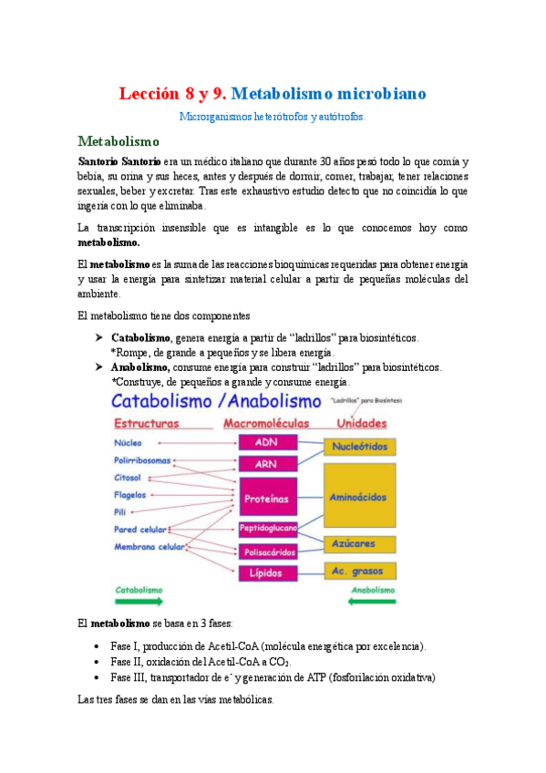 Miniatura del documento Leccion-8-y-9.-Metabolismo.pdf