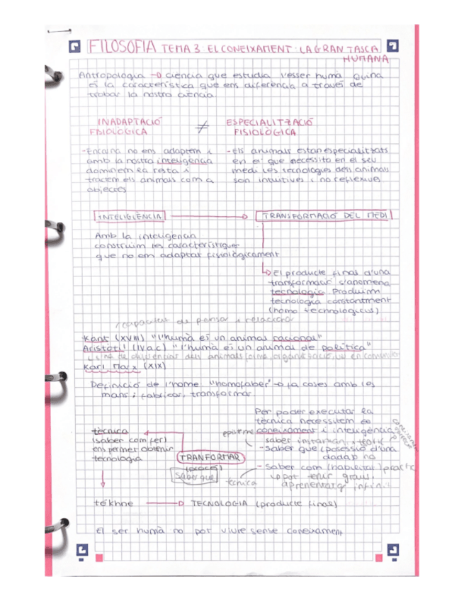 Miniatura del documento TEMA-3-El-coneixament.pdf