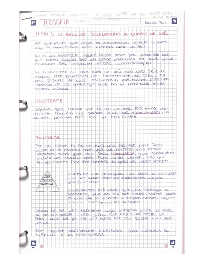 Miniatura del documento TEMA-5-La-realitat-transcendent.pdf