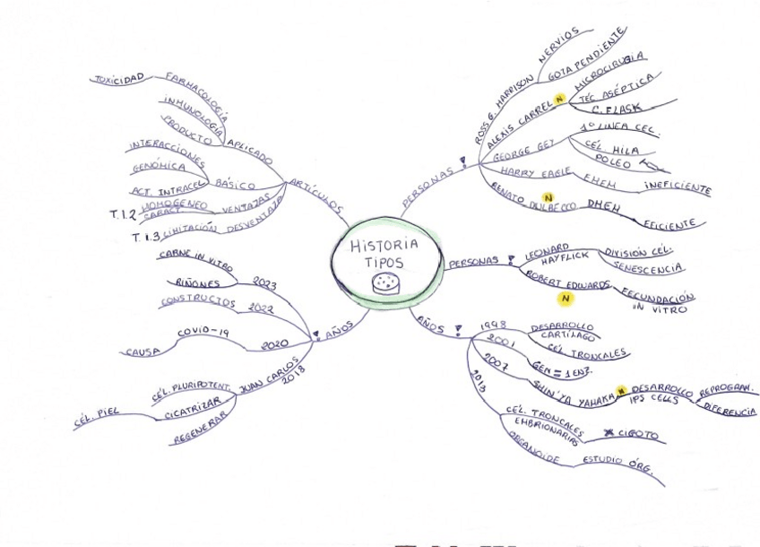 Miniatura del documento Mapas-mentales-T1-T14.pdf