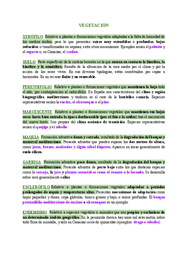 Miniatura del documento GEOGRAFIA-CONCEPTOS.pdf