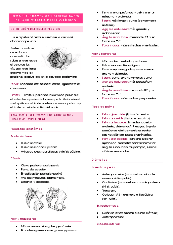 Miniatura del documento TEMA-1.pdf