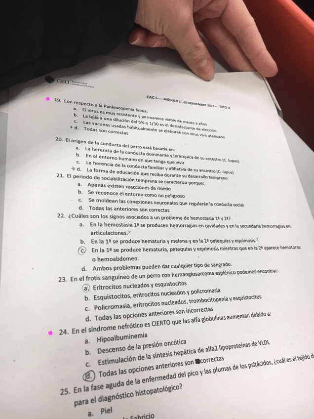 Miniatura del documento WhatsApp-Image-2020-05-26-at-15.30.26-1.jpeg