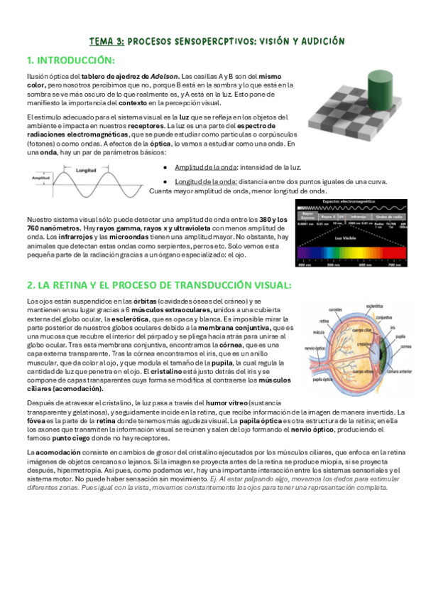 Miniatura del documento Tema-3-Psicologia-fisiologica.pdf