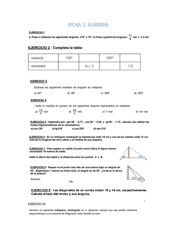 Miniatura del documento FICHA-1-TRIGONOMETRIA-ALUMNOS.pdf