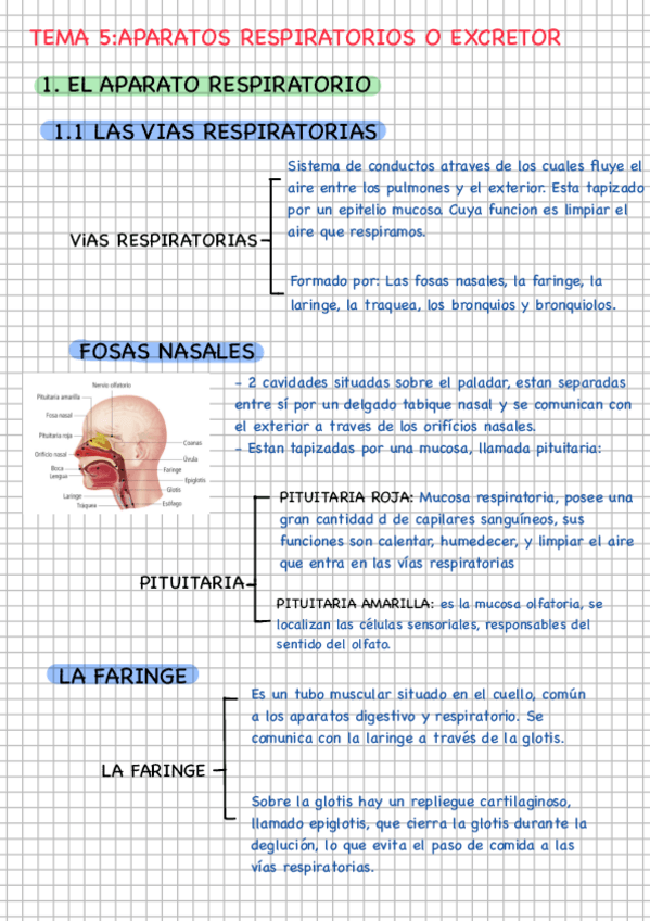 Miniatura del documento TEMA-5.pdf