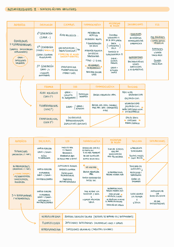 Miniatura del documento Cuadro-ATM-ll-sintesis-ADN.pdf