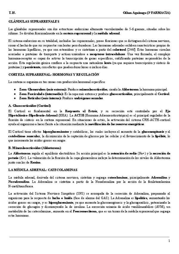 Miniatura del documento Resumen-T.15..pdf