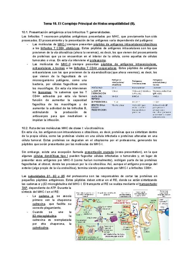 Miniatura del documento Tema-10-inmuno.pdf