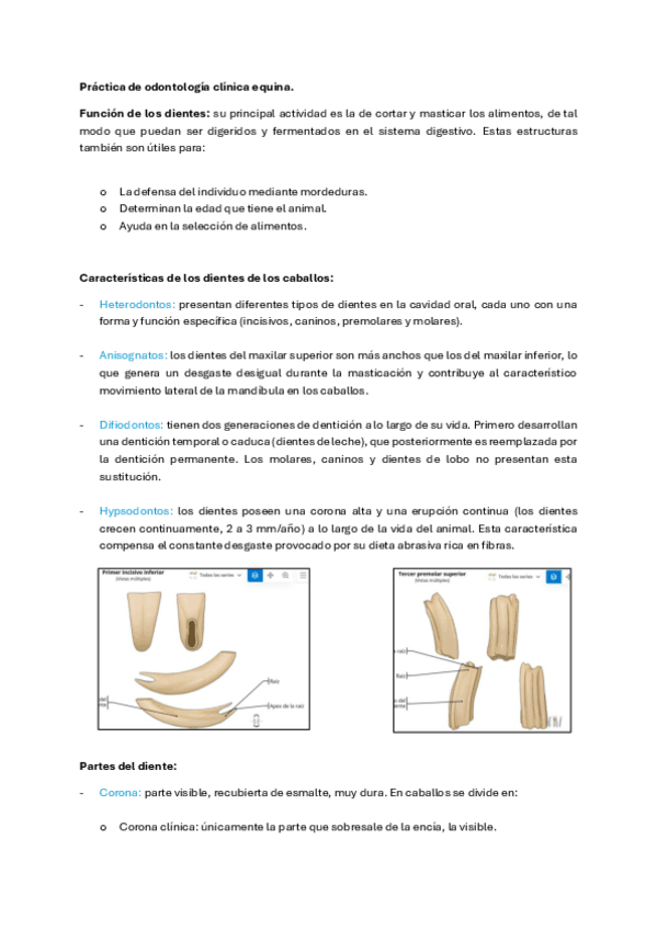 Miniatura del documento Apuntes-practica-odontologia-clinica-equina-1.pdf