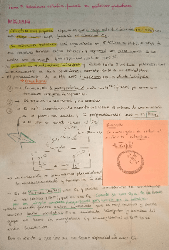 Miniatura del documento Tema7Bioq.pdf