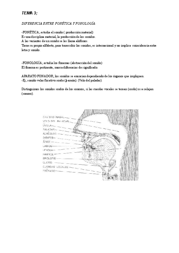 Miniatura del documento Temas-3-y-4.-Vulgarismos-foneticos-del-espanol.pdf