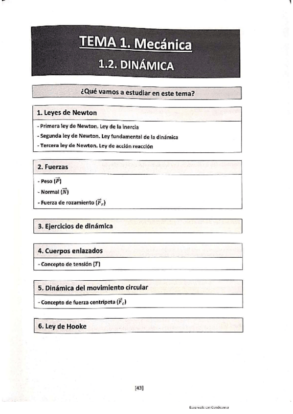 Miniatura del documento dinamica.pdf