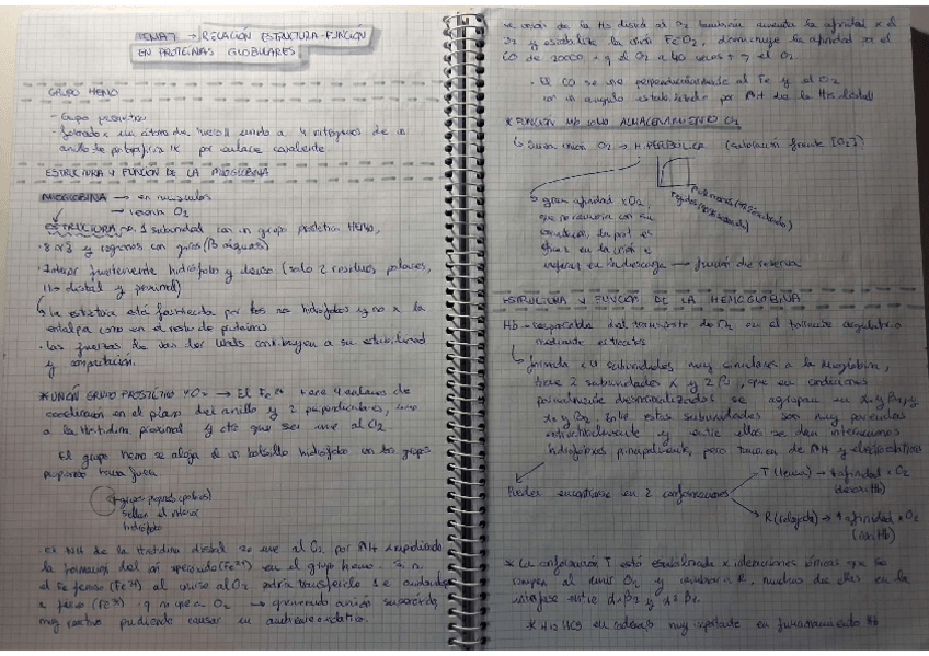 Miniatura del documento Tema-7.-RELACION-ESTRUCTURA-FUNCION-DE-PROTEINAS-GLOBULARES.pdf