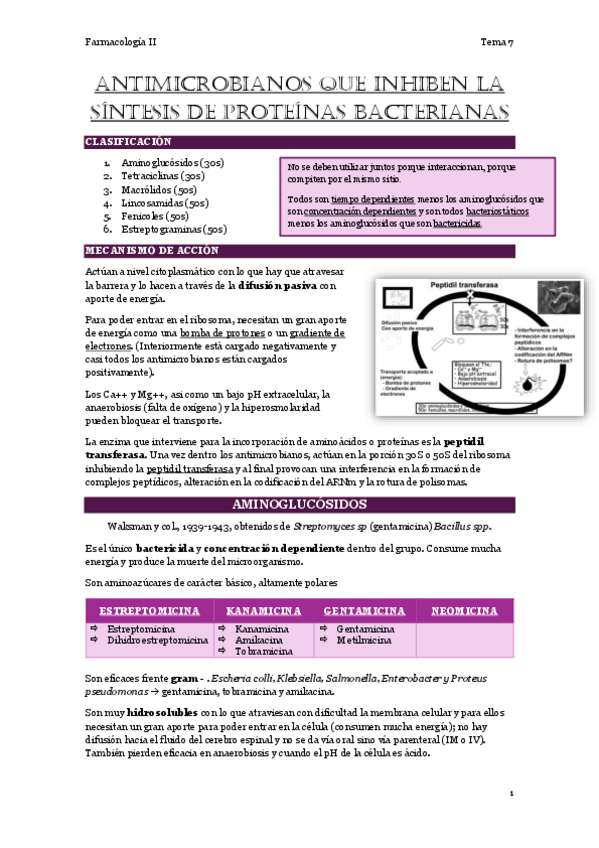 Miniatura del documento 7.-Inhibidores-de-la-sintesis-de-proteinas.pdf