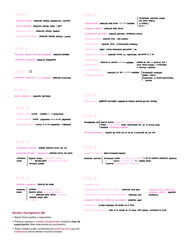 Miniatura del documento Microorganismos-productores.pdf