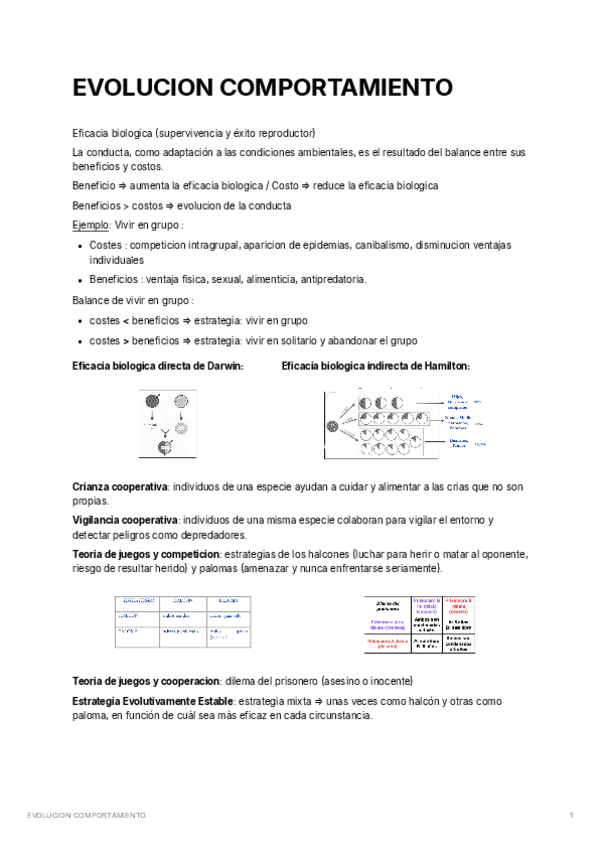 Miniatura del documento Evolucion-del-comportamiento.pdf