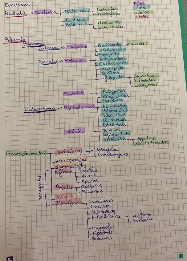 Miniatura del documento Diagramas-de-Practicas.pdf
