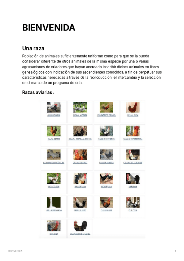 Miniatura del documento Bienvenida.pdf